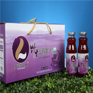 蓝韵森林果肉型蓝莓果汁盒装