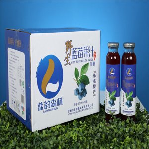 蓝韵森林蓝莓果汁饮料300ml