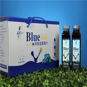 蓝韵森林蓝莓果汁饮料450ml
