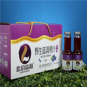 蓝韵森林蓝莓果汁饮料瓶装