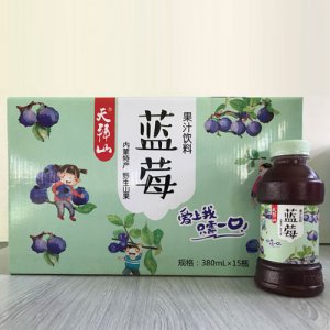 天拜山蓝莓果汁饮料380ml