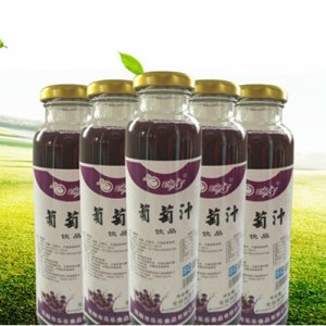 暖泉子葡萄汁瓶装