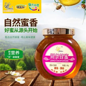 蜂起祥荆条蜂蜜食品500g