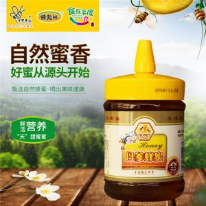 蜂起祥丹参蜂蜜500g