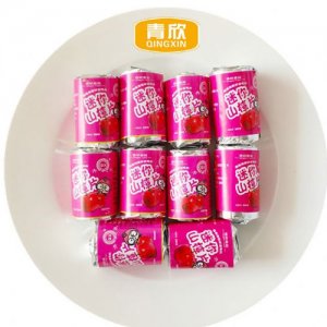 青欣迷你山楂片