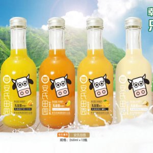 安氏春天安氏田园乳酸菌268ml