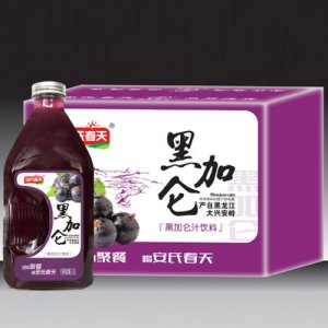 安氏春天黑加仑汁饮料1L