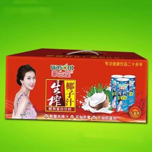 华生堂椰子汁手提礼盒