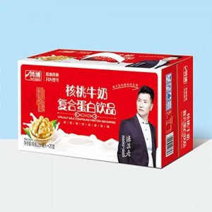 鸿博核桃牛奶复合蛋白饮品250毫升l×20盒