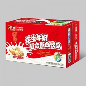 鸿博花生牛奶复合蛋白饮品250ml×20盒