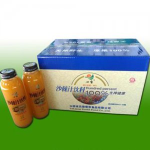 心宝沙棘汁饮料350ml×15瓶