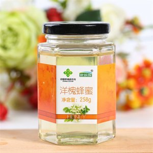 健颐源洋槐蜂蜜258g
