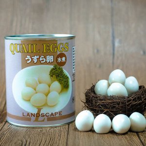 丹东鹌鹑蛋罐头白盒