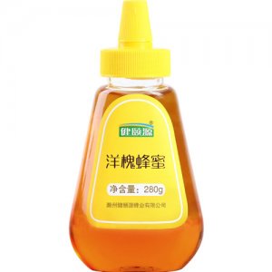 健颐源洋槐蜂蜜280g