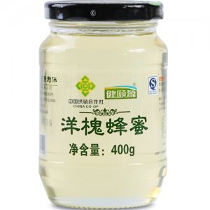 健颐源洋槐蜂蜜400g
