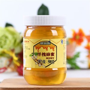 健颐源洋槐蜂蜜500g