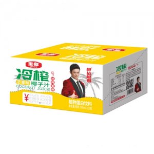 越战越勇重椰冷榨椰子汁芒果味380mlX15