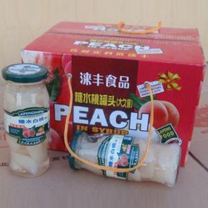 涞丰糖水白桃罐头256g