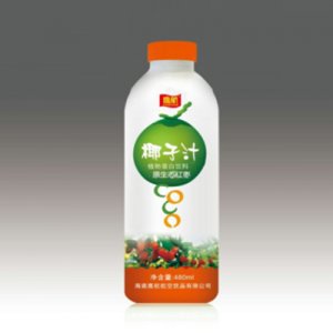 鹰航红枣椰汁480ml