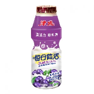 津威每日体活乳酸菌饮料（蓝莓风味）