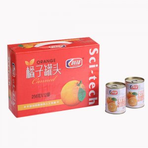 科技橘子罐头256g