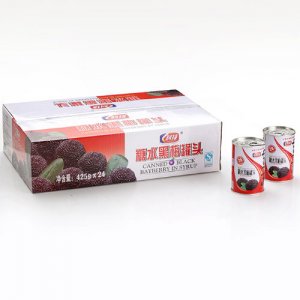 科技糖水黑酶罐头425g