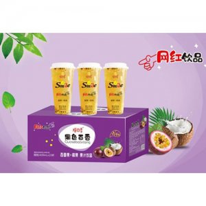 摇四季百香果+椰果果汁饮品600mlX15