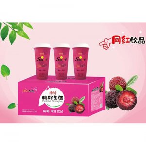摇四季杨梅果汁饮品600mlX15