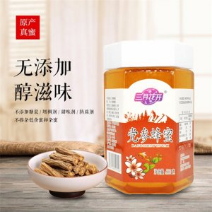三月花开党参蜂蜜500g