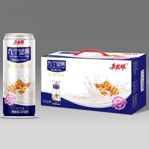 真英雄九个坚果花生味蛋白饮料手提