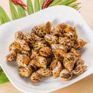 辣怪鸭花螺