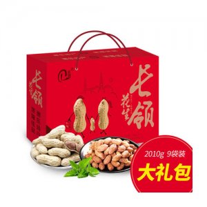 长领礼盒装烘炒货带壳坚果9小袋装2010g