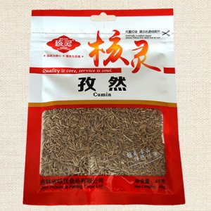 核灵孜然