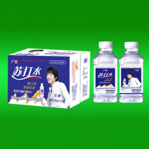 广臻苏打水350mlx24瓶