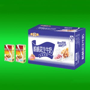 广臻标准砖核桃花生奶250mlx20盒