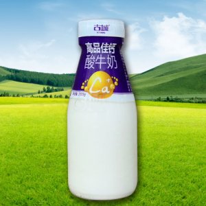 古城瓶装-高品佳钙酸牛奶