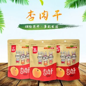 国丰杏肉干