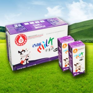 古城学生奶黑牛奶