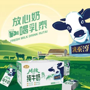 乳泰淳-纯牛奶12盒装