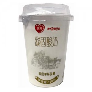 顺恩凝固酸奶120g
