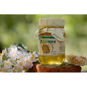 老山绿色洋槐蜂蜜500g