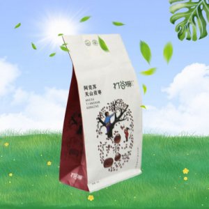 打谷塬阿克苏天山贡枣袋装