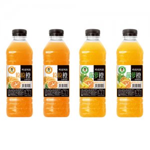 玉川果先生果汁饮料600ml