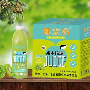 椰太奶果中玛瑙猕猴桃