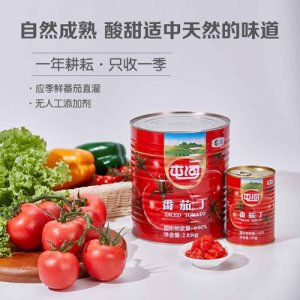 屯河番茄丁2850g