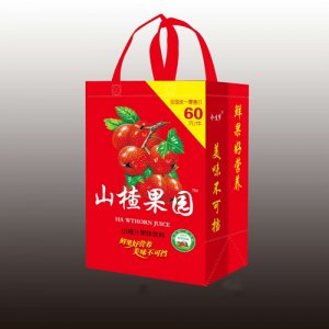 今生梦山楂果园山楂汁果味饮料