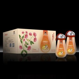 冬宝柠檬姜汁489ml