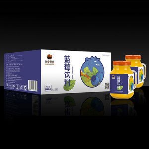 冬宝蓝莓饮料600ml