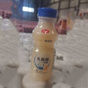 湡歌乳酸菌饮品340ml