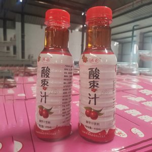 湡歌酸枣汁410ml
